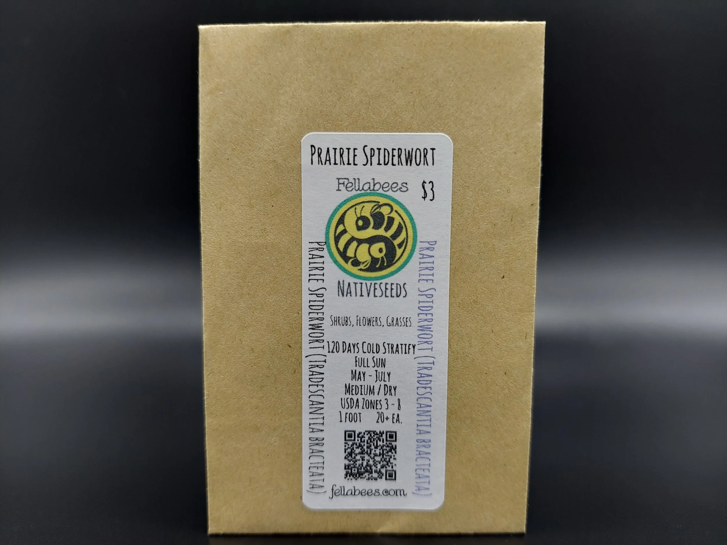 Prairie Spiderwort (Tradescantia bracteata)