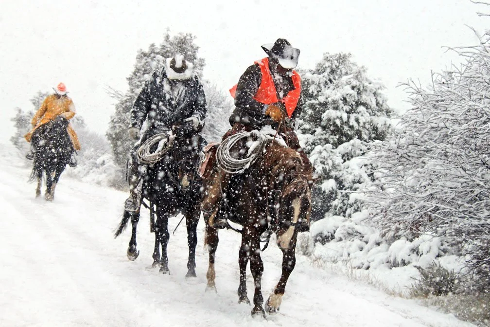 Bravin' the Blizzard