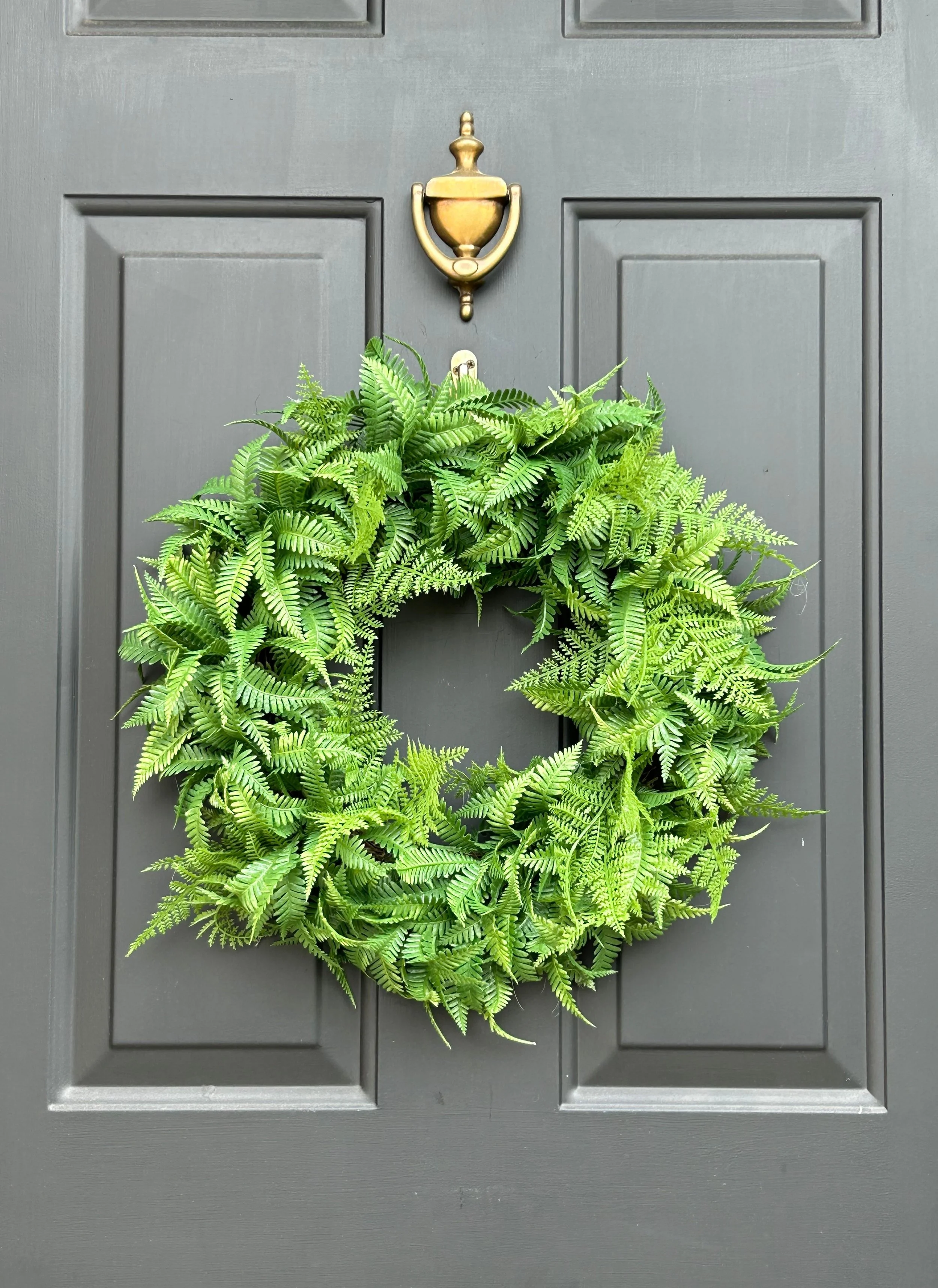 fern 2.jpg