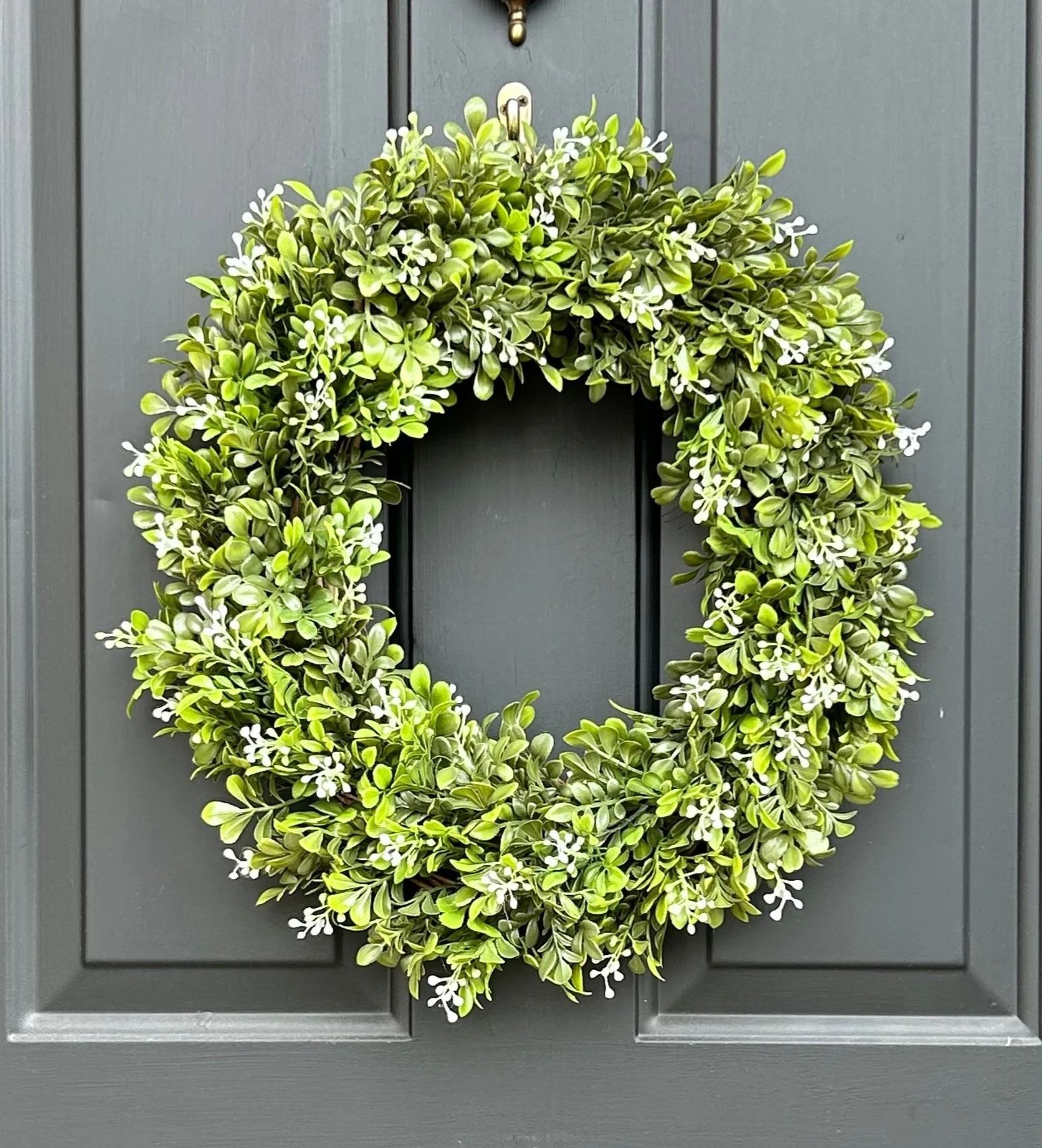 boxwood with berries 1.jpg
