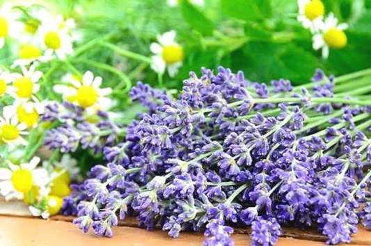 Aging Gracefully: why skincare starts from within