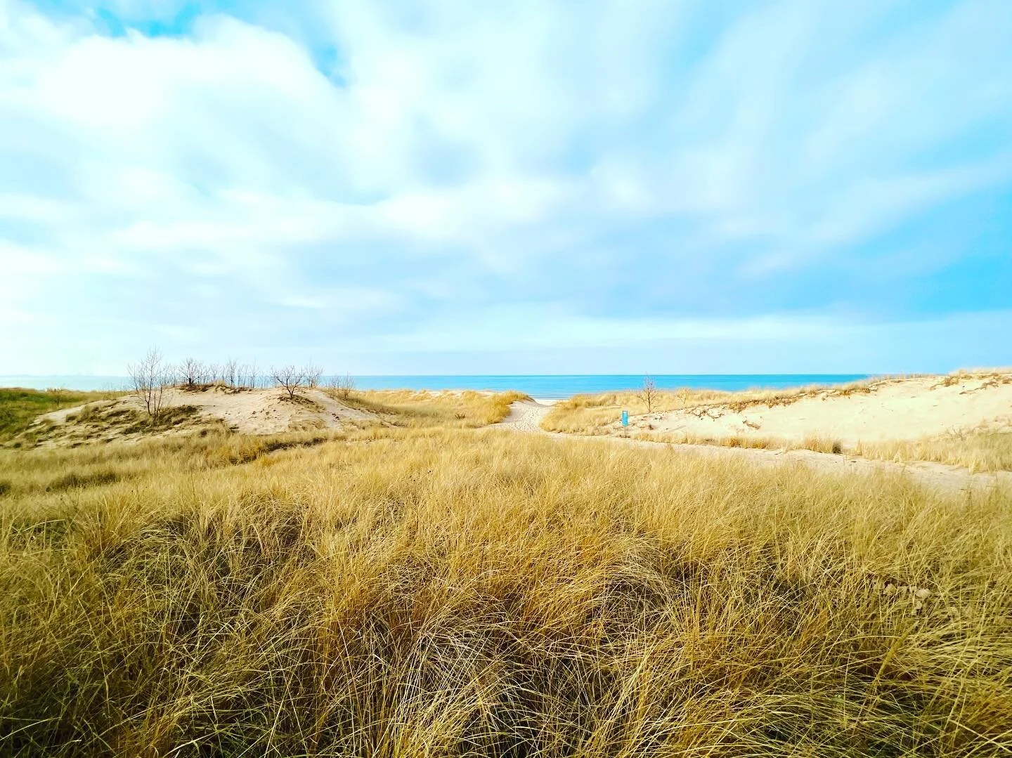 Visit Miller Beach Gary Your Gateway to the Indiana Dunes