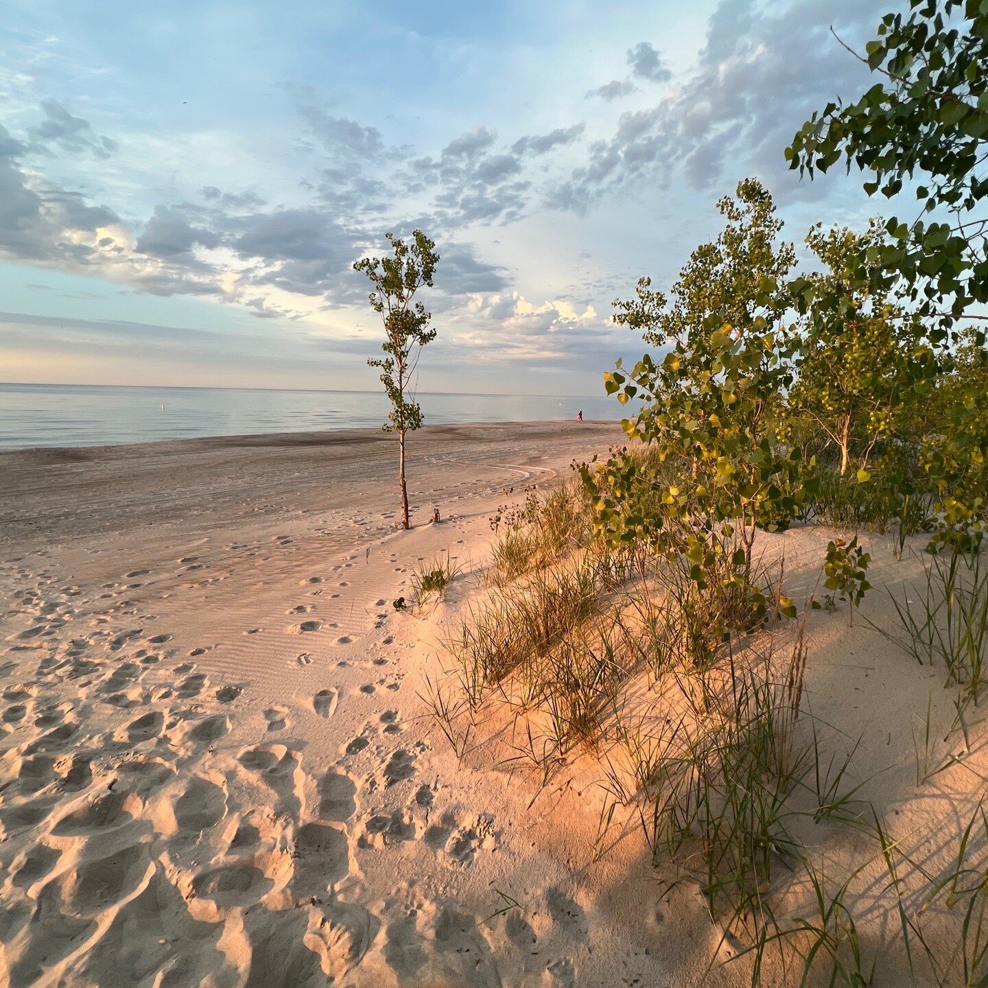 Sweetly presenting a romantic view on Valentine's Day ❤️❤️❤️ #IndianasCoolNorth #VisitIndiana #VisitMillerBeach #AlongtheSouthShore