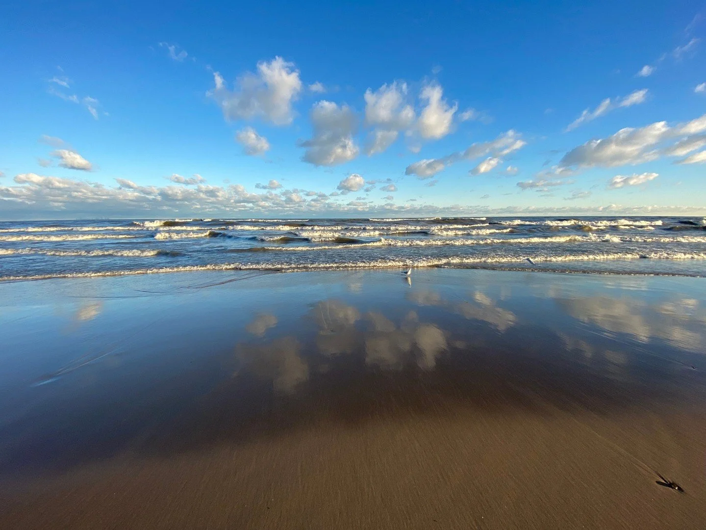 It&rsquo;s a privilege &mdash; and the ultimate luxury &mdash; to step out onto our &ldquo;front yard&rdquo;: 3.5 miles of some of the most beautiful shoreline on Lake Michigan. Try parking at the Douglas Nature Center, Lake Street Beach, or Marquett
