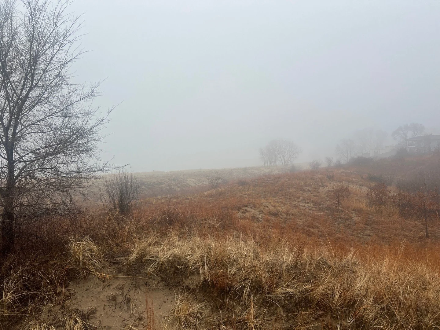 Some mornings in Miller Beach feel almost magical. 🌫️
The ethereal beauty of lakeside fog softens the dunes while making the colors of the season glow &mdash; the deep reds of little bluestem and the rich gold of marram grass standing out against th