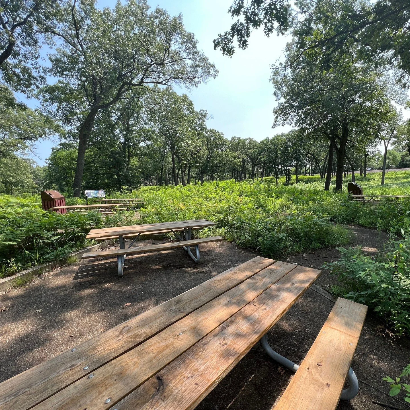 Get takeout on Lake Street at one of our local restaurants, then bring your picnic here behind the Douglas Nature Center&mdash;just two blocks away! 🌿🧺
An easy, scenic way to enjoy Miller Beach.
.
.
#VisitMillerBeach #AlongtheSouthShore #VisitIndia