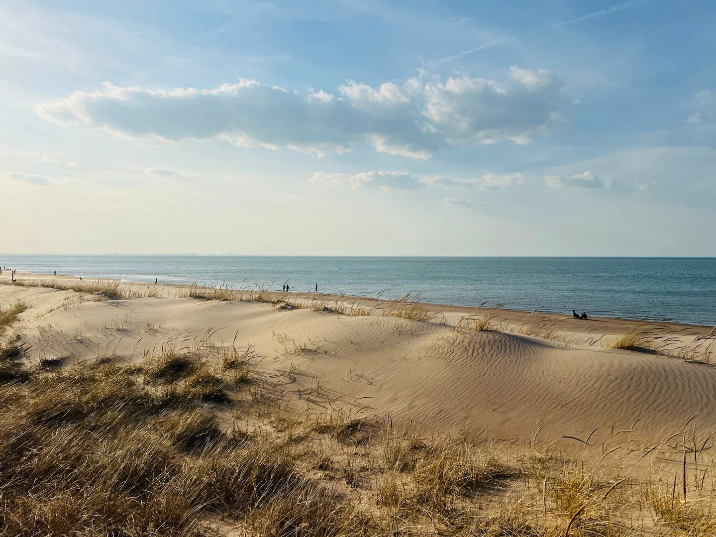 Yesterday, an 80-degree day in March had the sand warm, the lake sparkling, and everyone dreaming of long beach days ahead. 🌊🏖️ From the dunes to the skyline views, this is just a preview of what&rsquo;s waiting for you all season long.
Summer is c