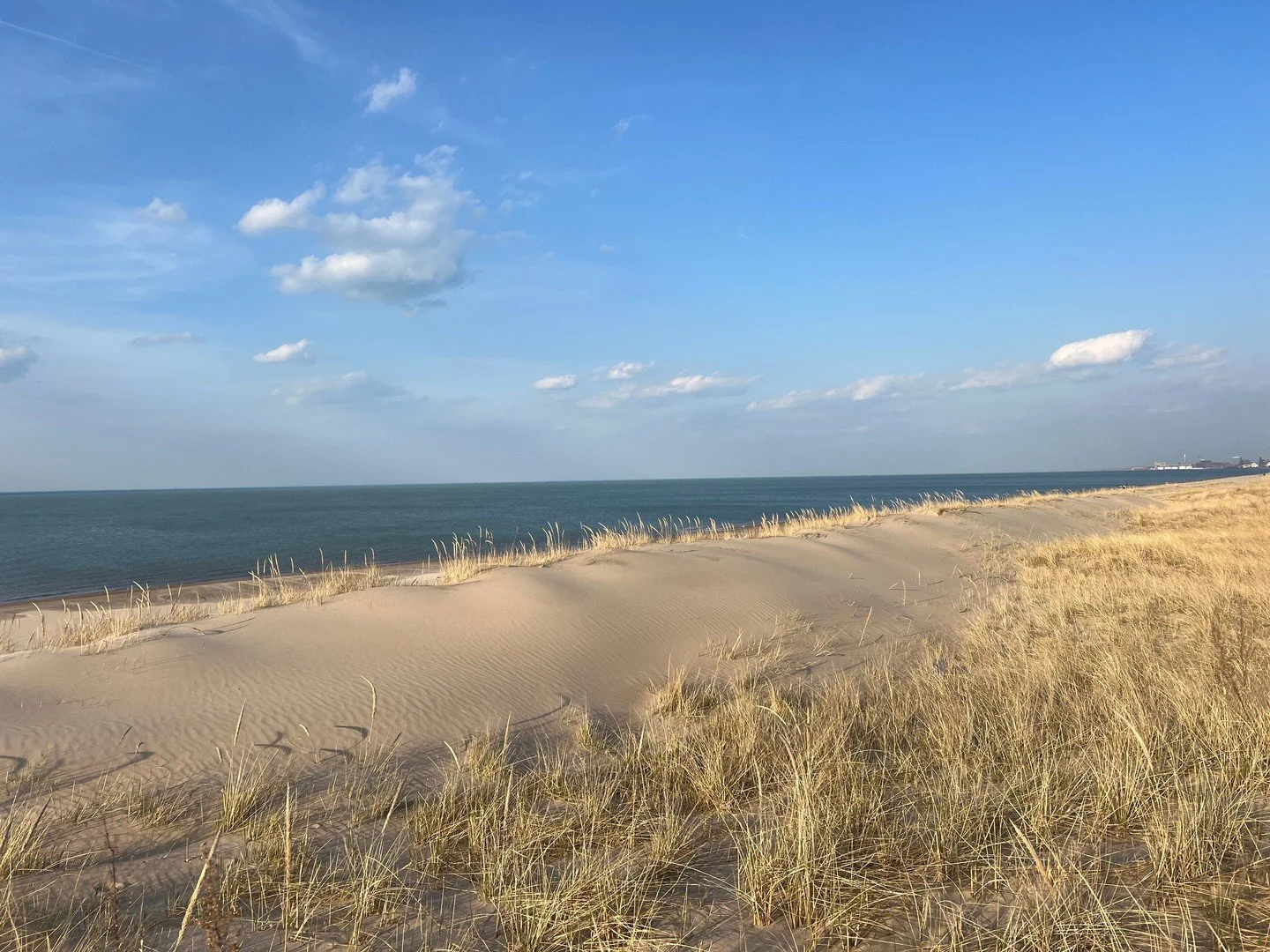 🌊✨ Something amazing is happening along our shoreline&hellip;
If you&rsquo;ve walked the beaches of Miller Beach lately, you&rsquo;ve probably noticed it &mdash; SAND, and lots of it.

Over the past few years, our shoreline has been building up with