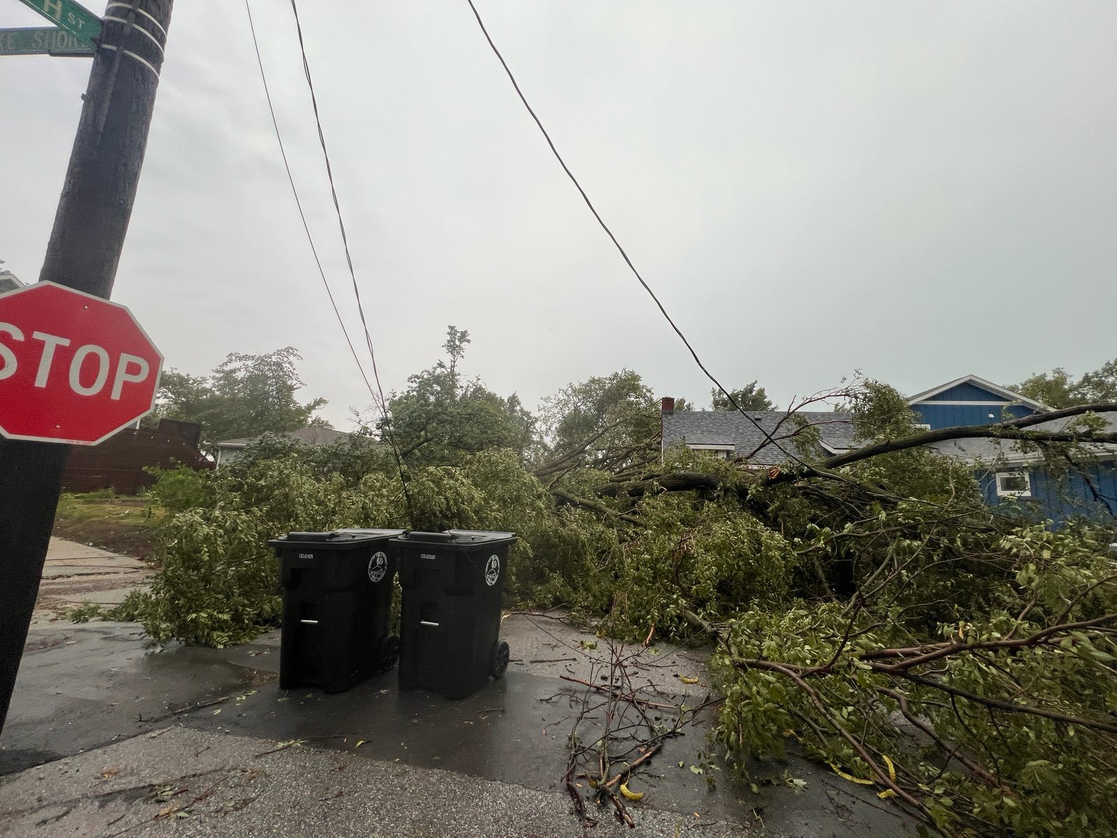  Fallen trees and power lines next to garbage cans in Gary Indiana, immediately after the August 11 2026 storm. Photo Credit: Visit Miller Beach Gary 