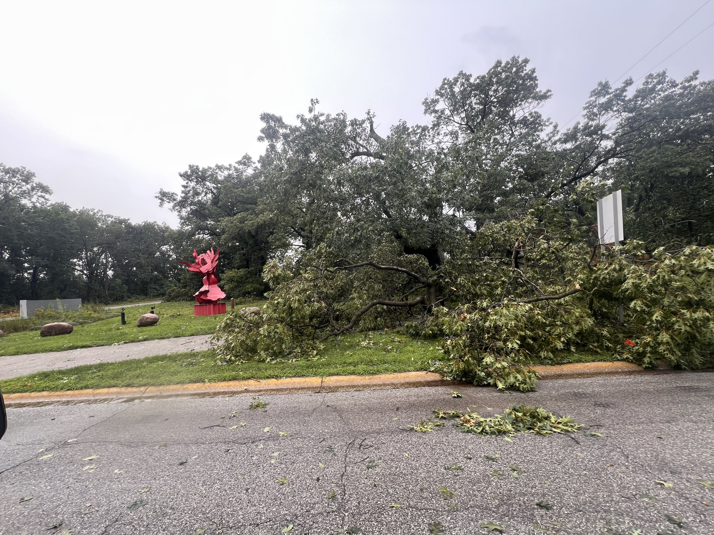  Fallen trees near the Marquette Park entrance, in Gary, Indiana, just after the August 11 2026 storm. Photo Credit: Visit Miller Beach Gary 