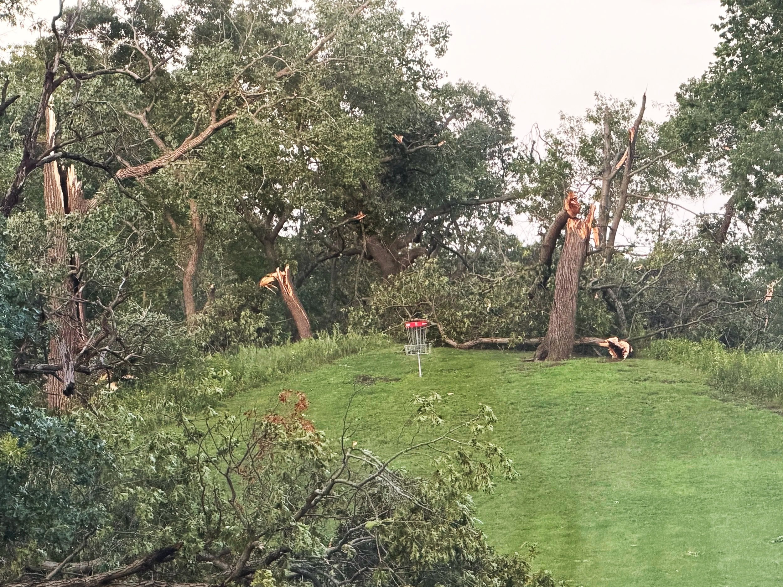  Fallen trees on the disc golf course in Marquette Park in Gary, Indiana, just after the August 11 2026 storm. Photo Credit: Visit Miller Beach Gary 