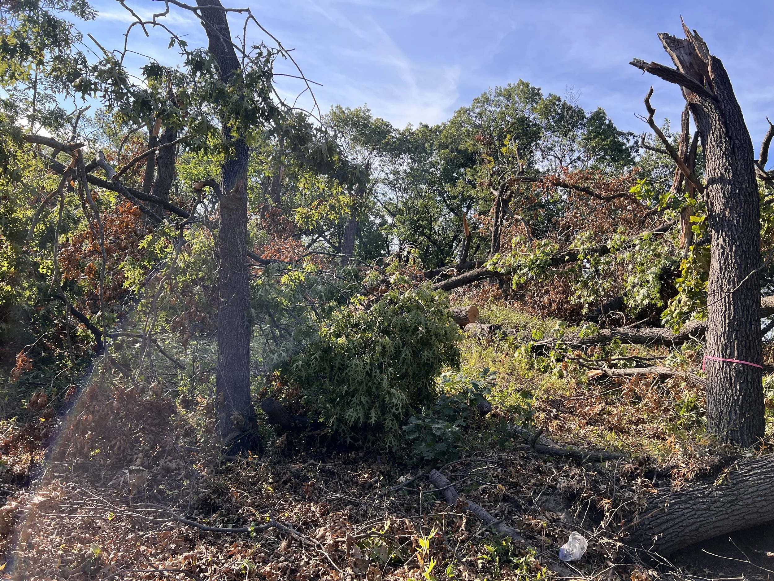  Storm Debris in Gary Indiana on September 7th, 2026. Photo credit: Visit Miller Beach Gary 