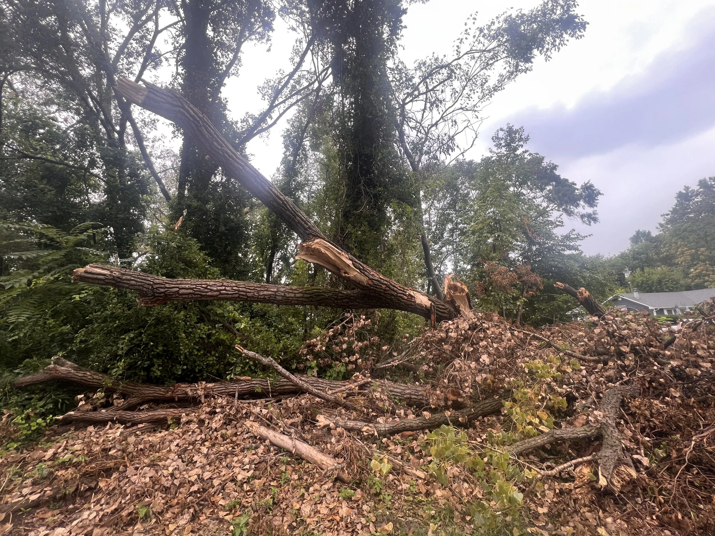  Storm Debris in Gary Indiana on September 7th, 2026. Photo credit: Visit Miller Beach Gary 