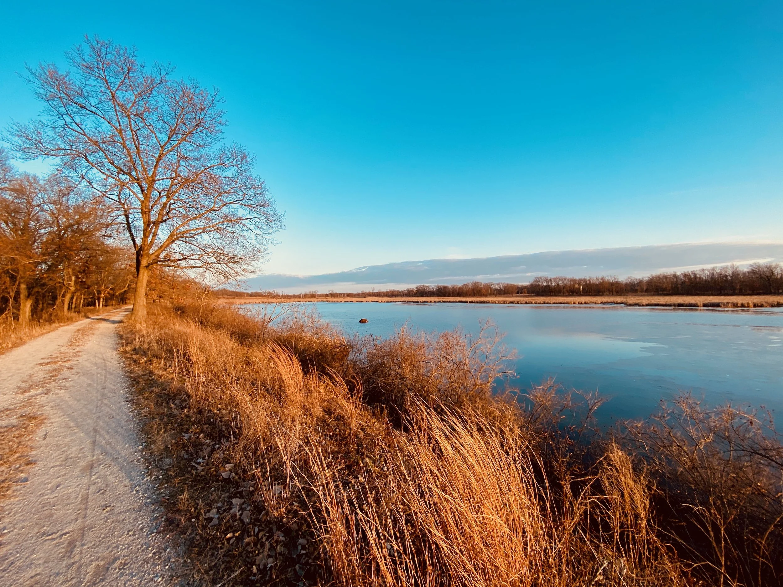 Marquette Greenway  Miller Beach Gary Indiana fall