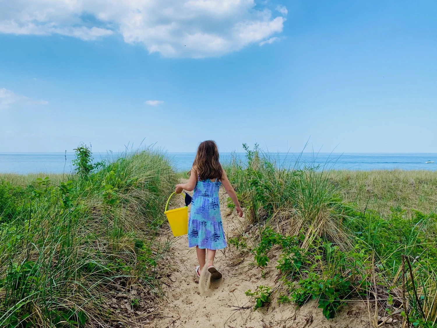 Visit Miller Beach Gary Your Gateway to the Indiana Dunes