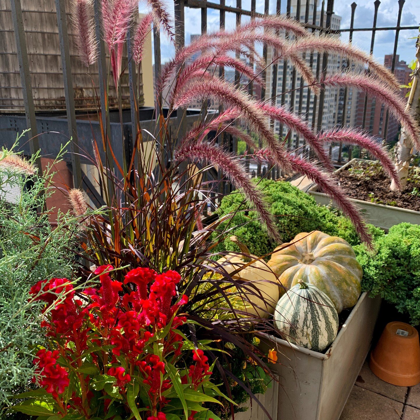 “And all at once, summer collapsed into fall.” -Oscar Wilde