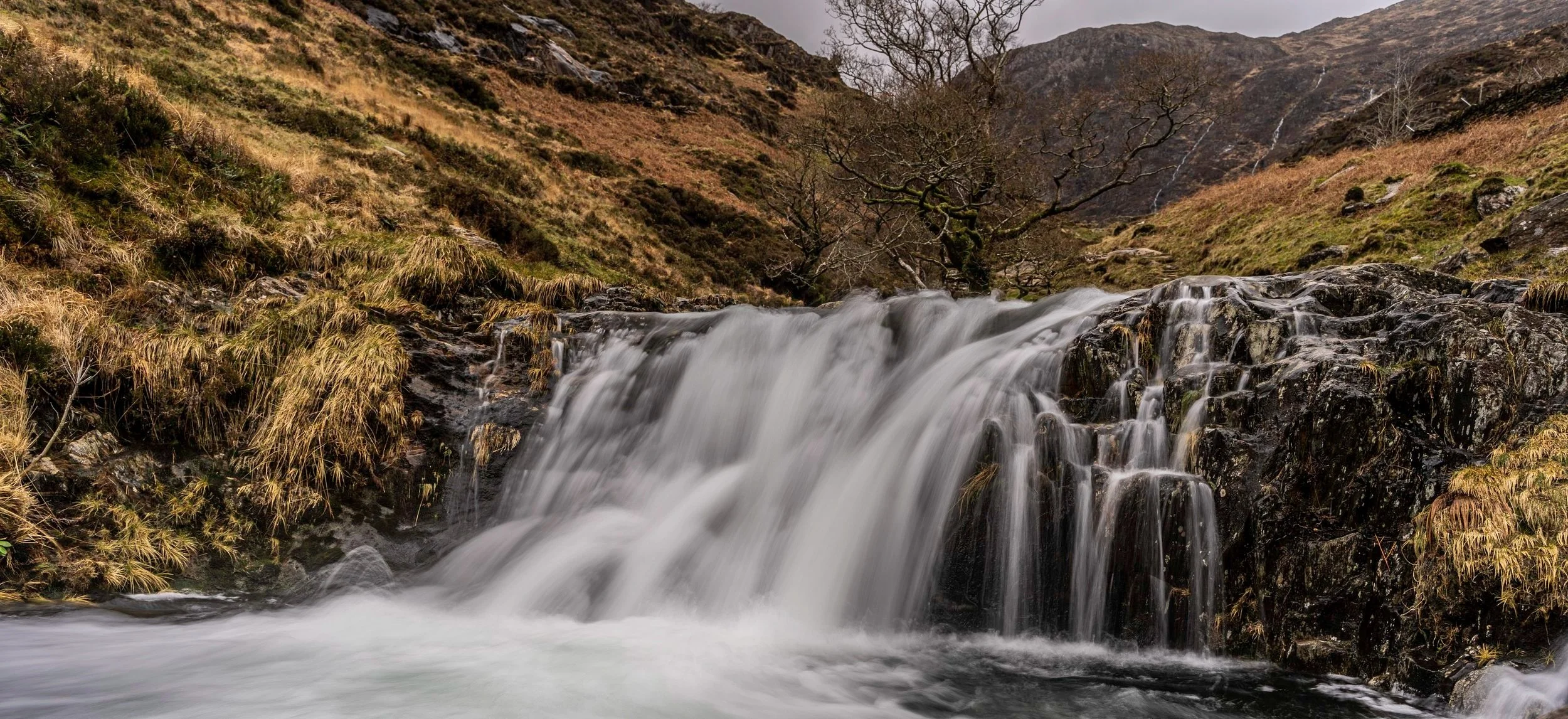 DSC02627-Long+exposure+waterfall+and+tree+jpg.jpg