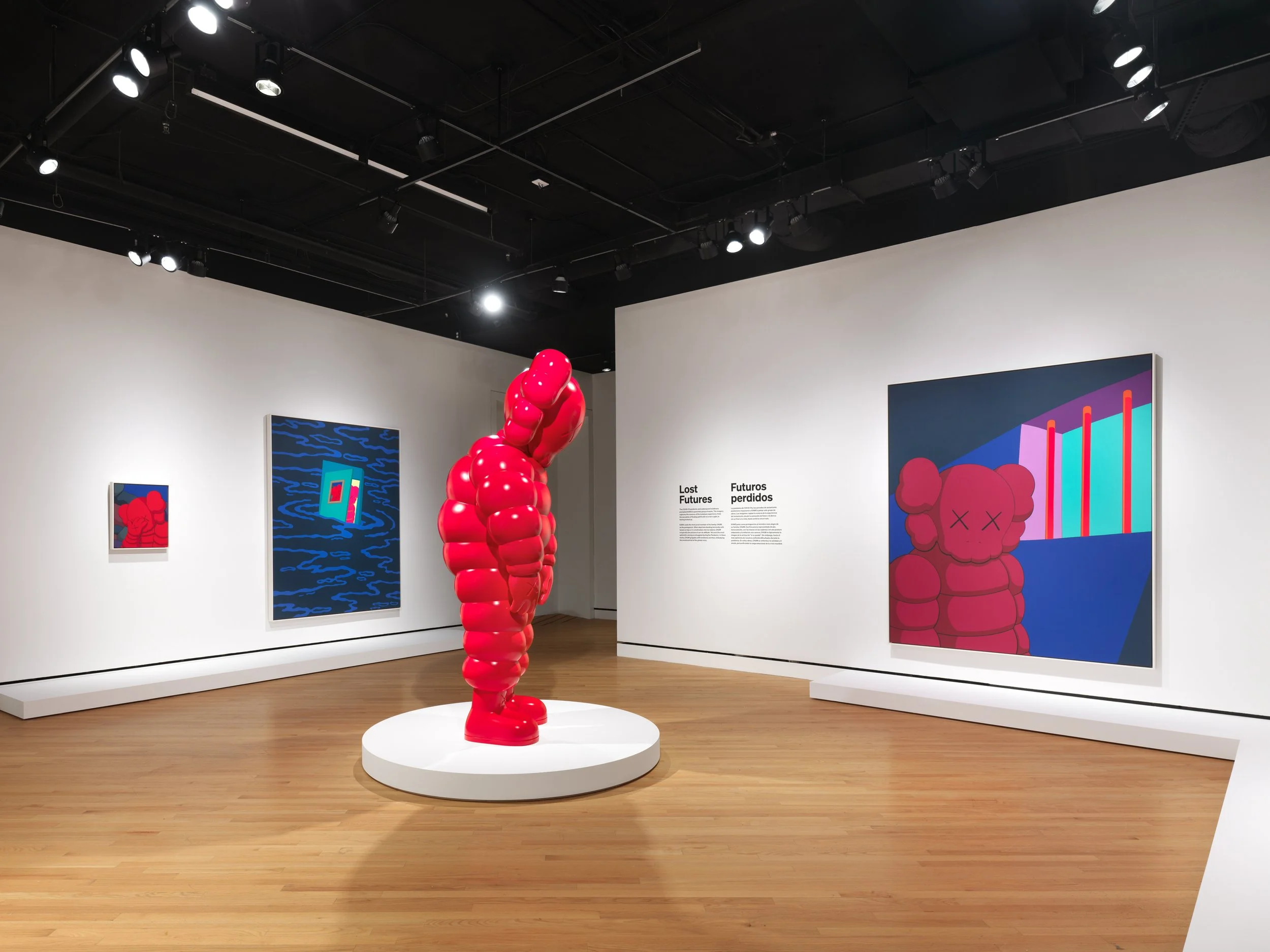 KAWS_Crystal-Bridges_Priority_View-011.jpg