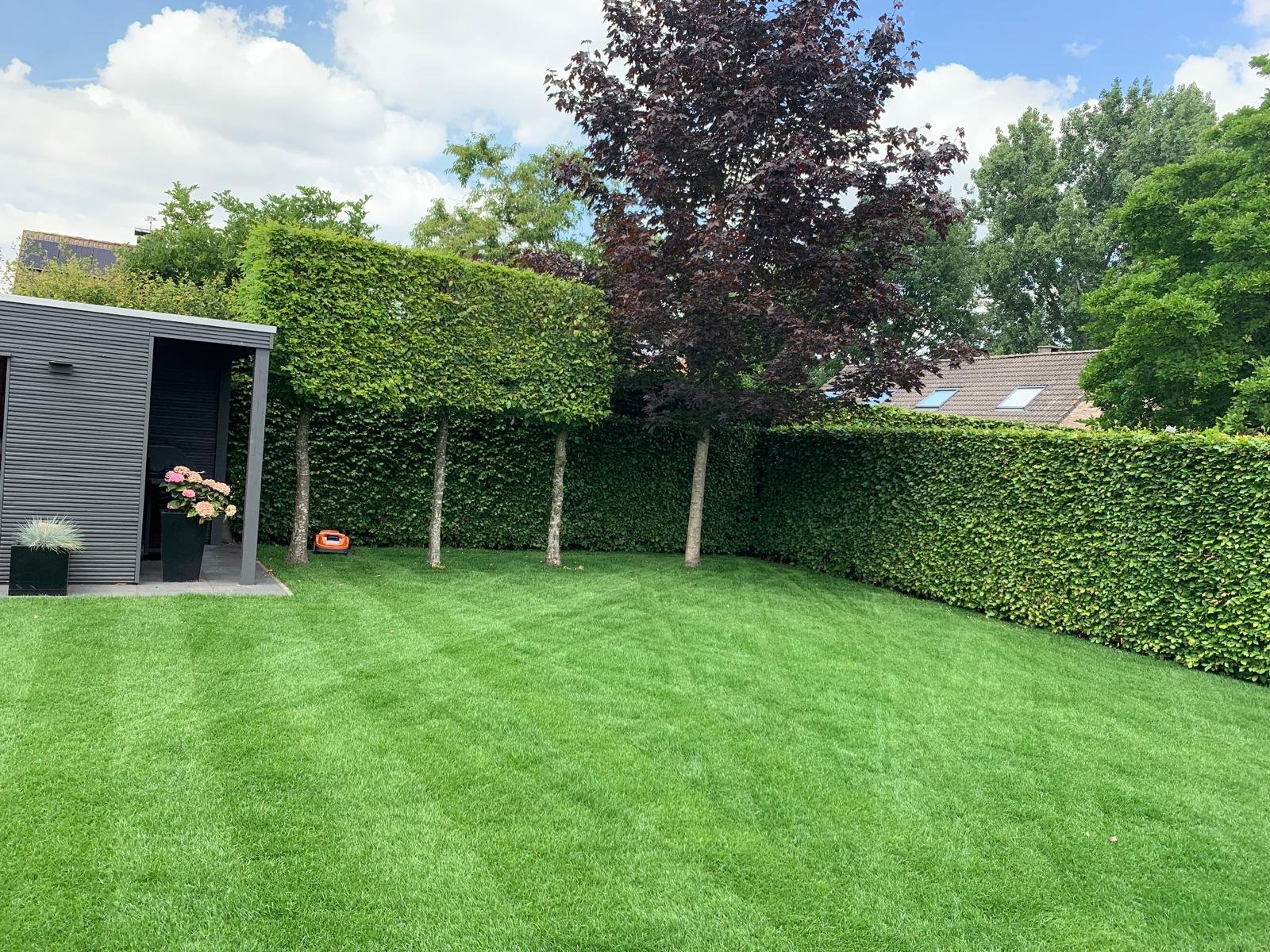 Aanleg van gras in Hove