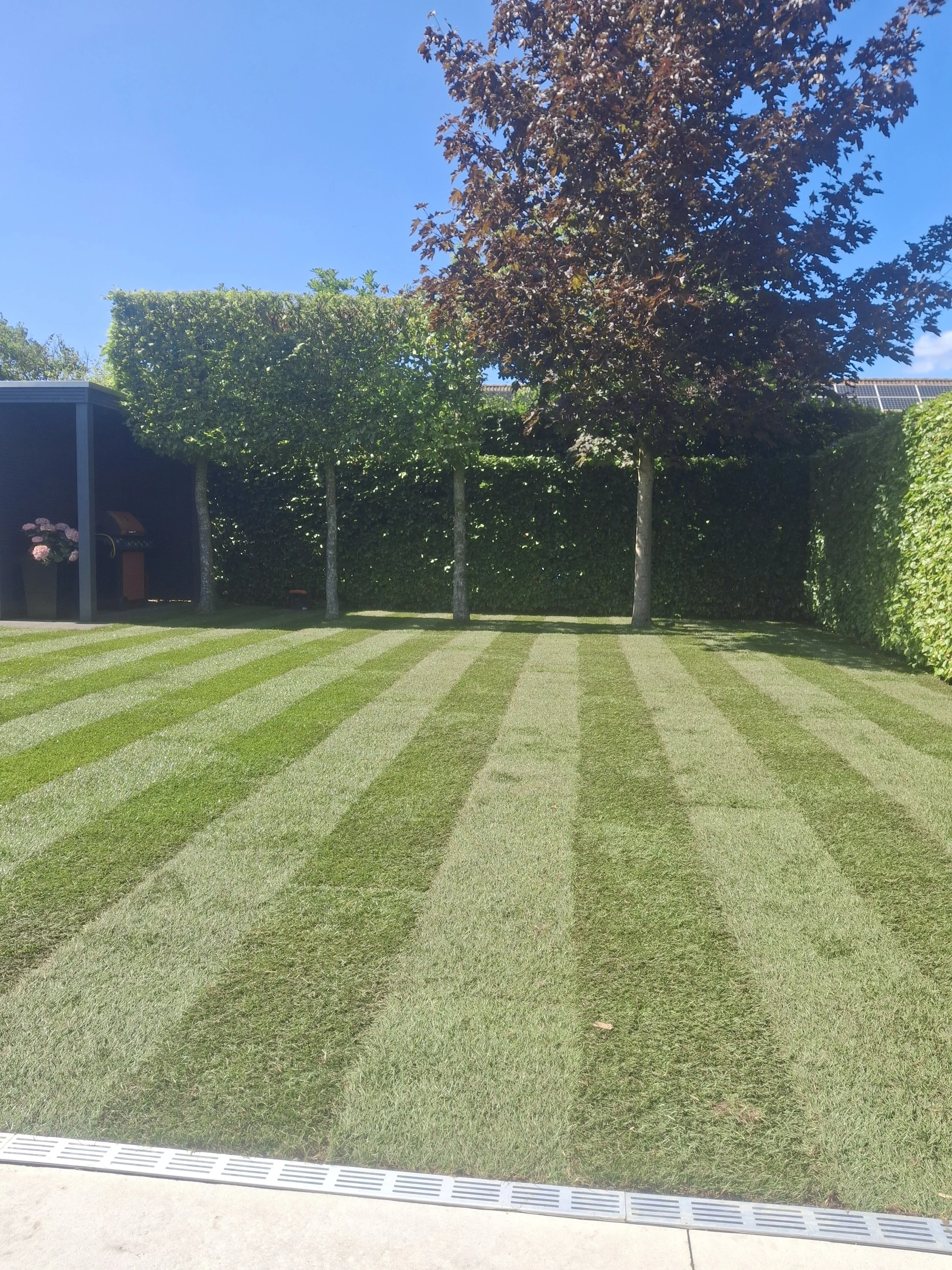 tuinman onderhoud Antwerpen