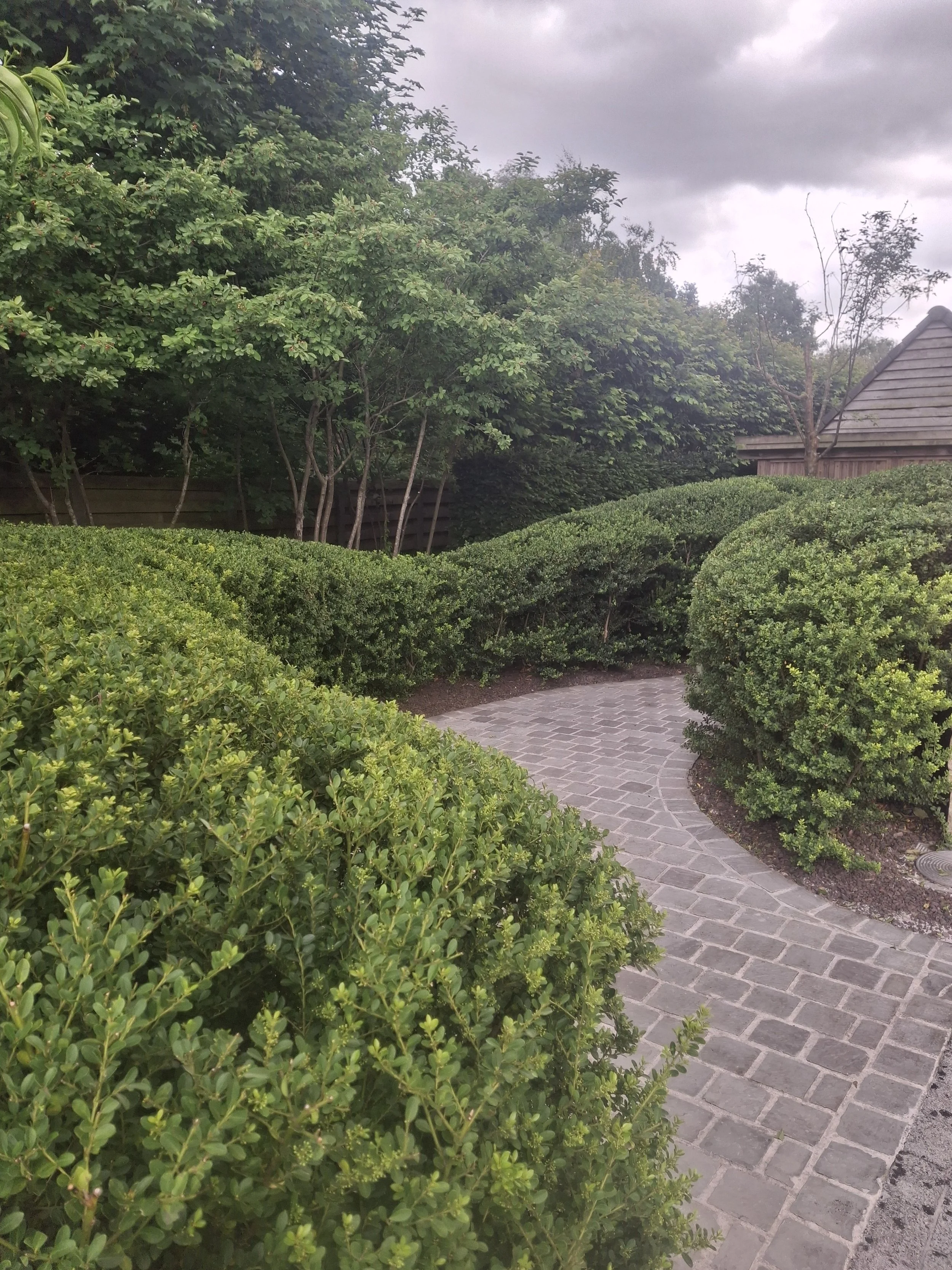 tuinonderhoud in Antwerpen