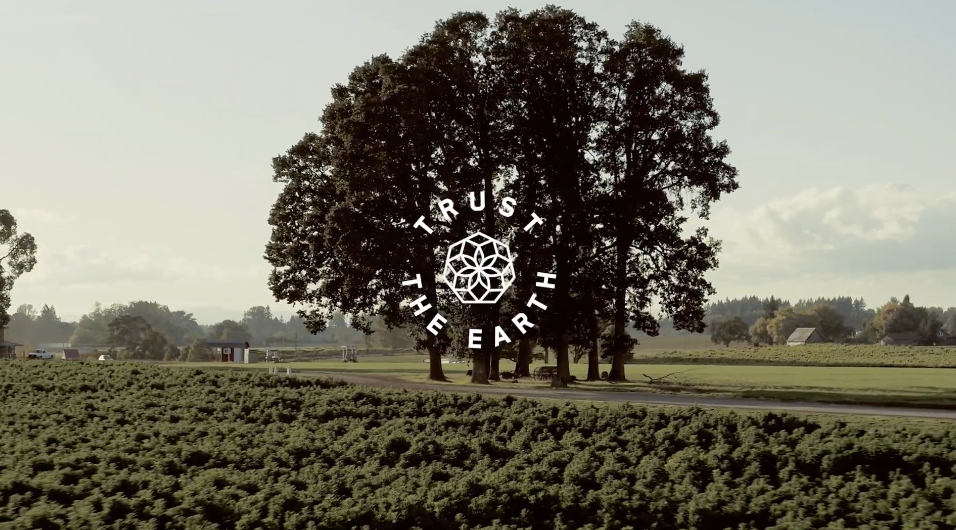 Screenshot 2026-01-02 at 9.07.56 PM.png