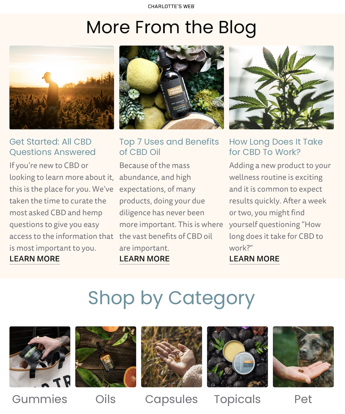 Screenshot 2024-12-26 at 10.51.03 AM.png