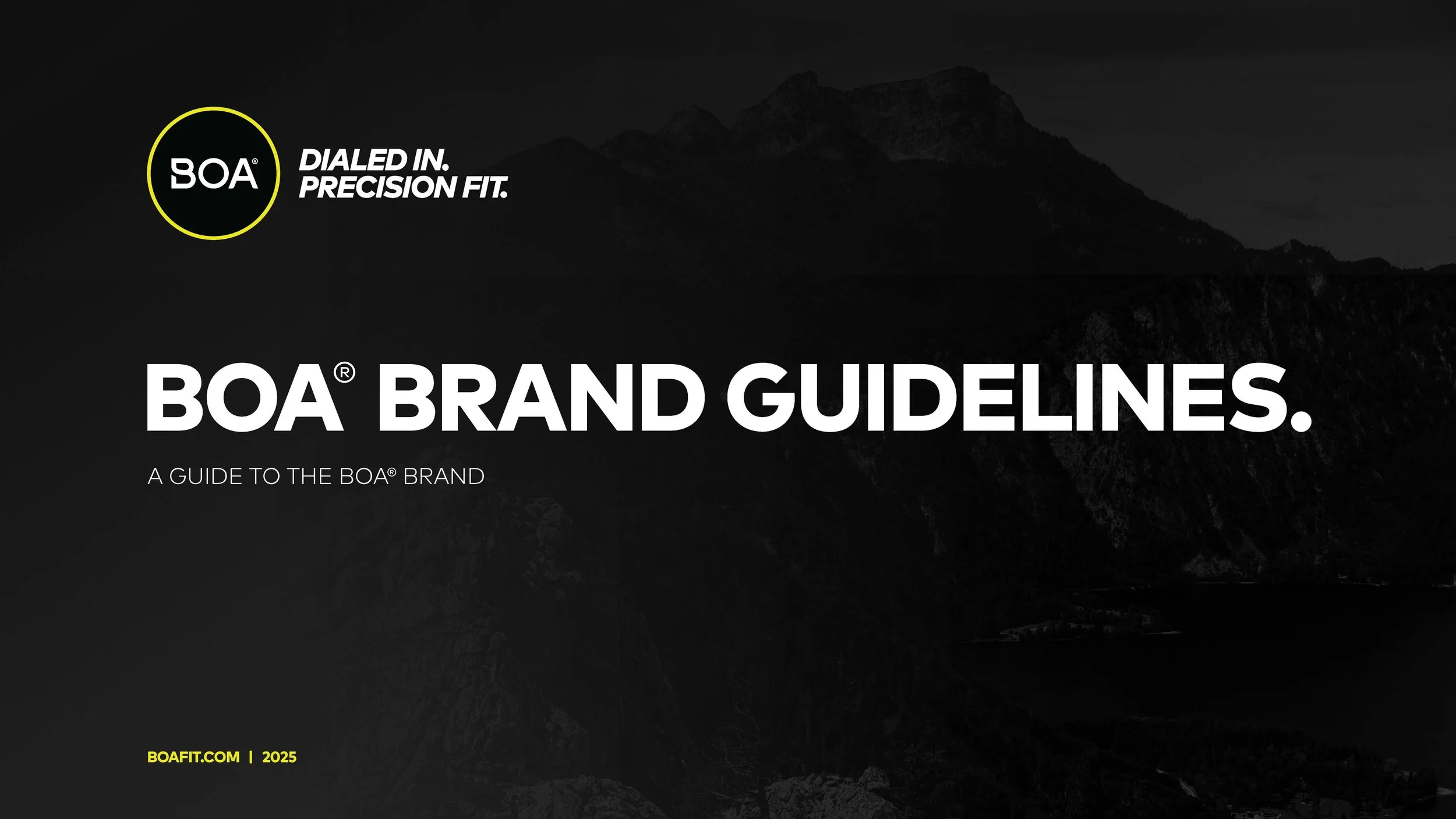 25BOA-BrandGuidelines-R5 (dragged).jpg