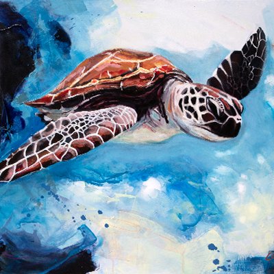 "Space Turtle"