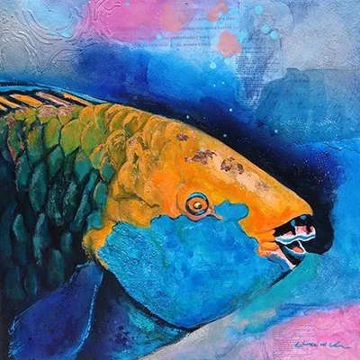 "Rainbow Parrot Fish"
