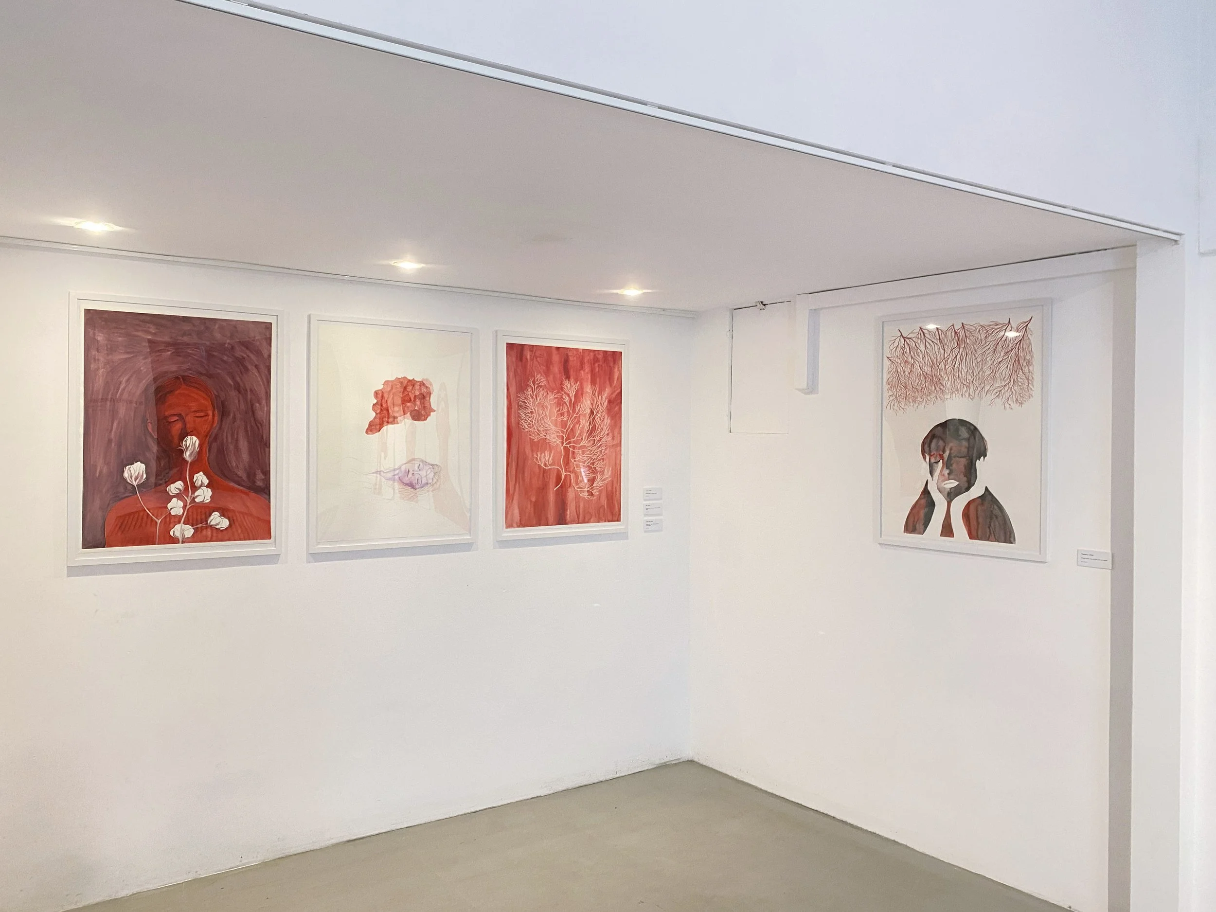 A high end contemporary art gallery in Romania with white walls and four framed artworks featuring portraits and corals, cotton flowers in shades of red, white, and black.