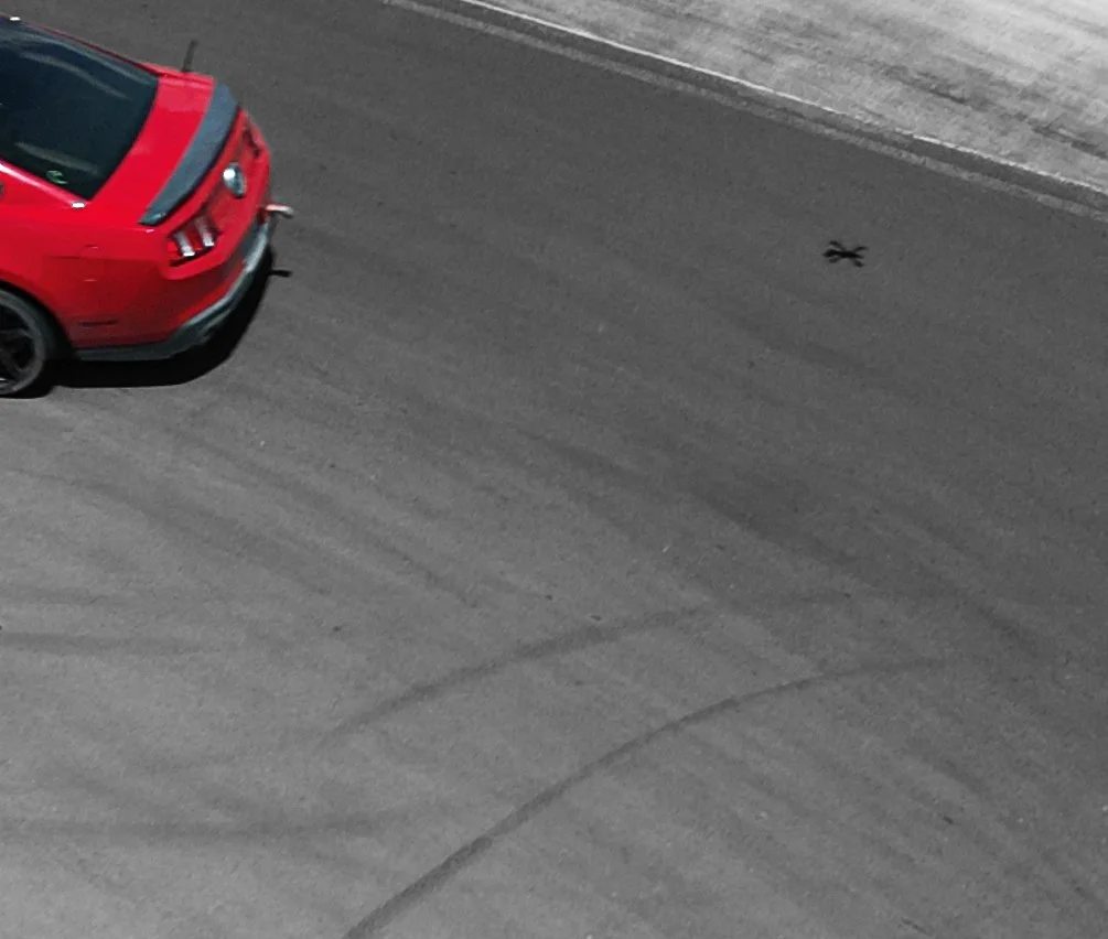 stang-b&w-red-slices-ig_04.jpg