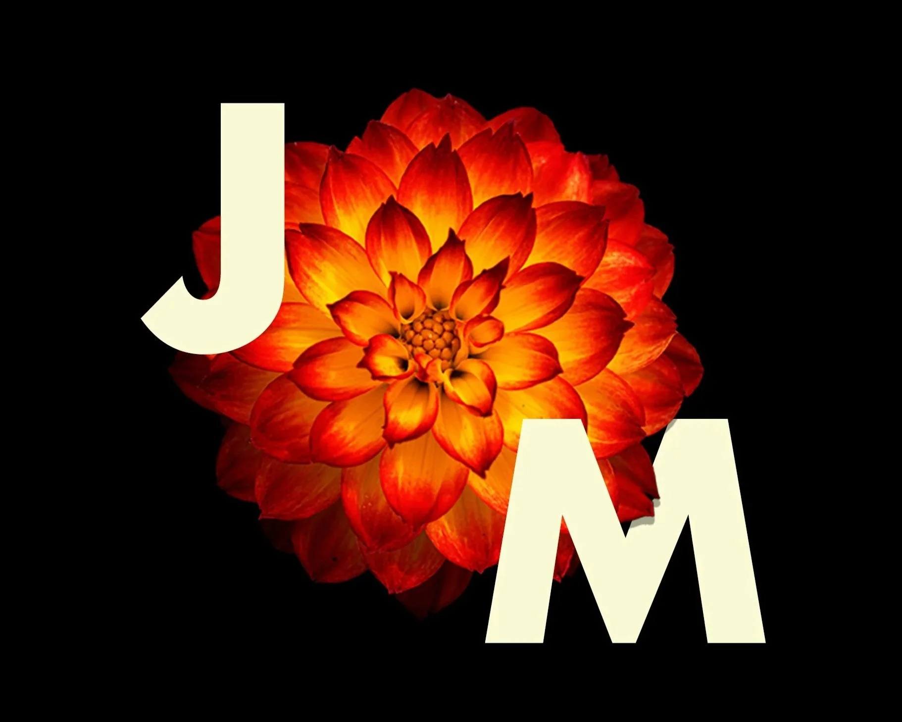 The Treaty of Guadalupe Hidalgo