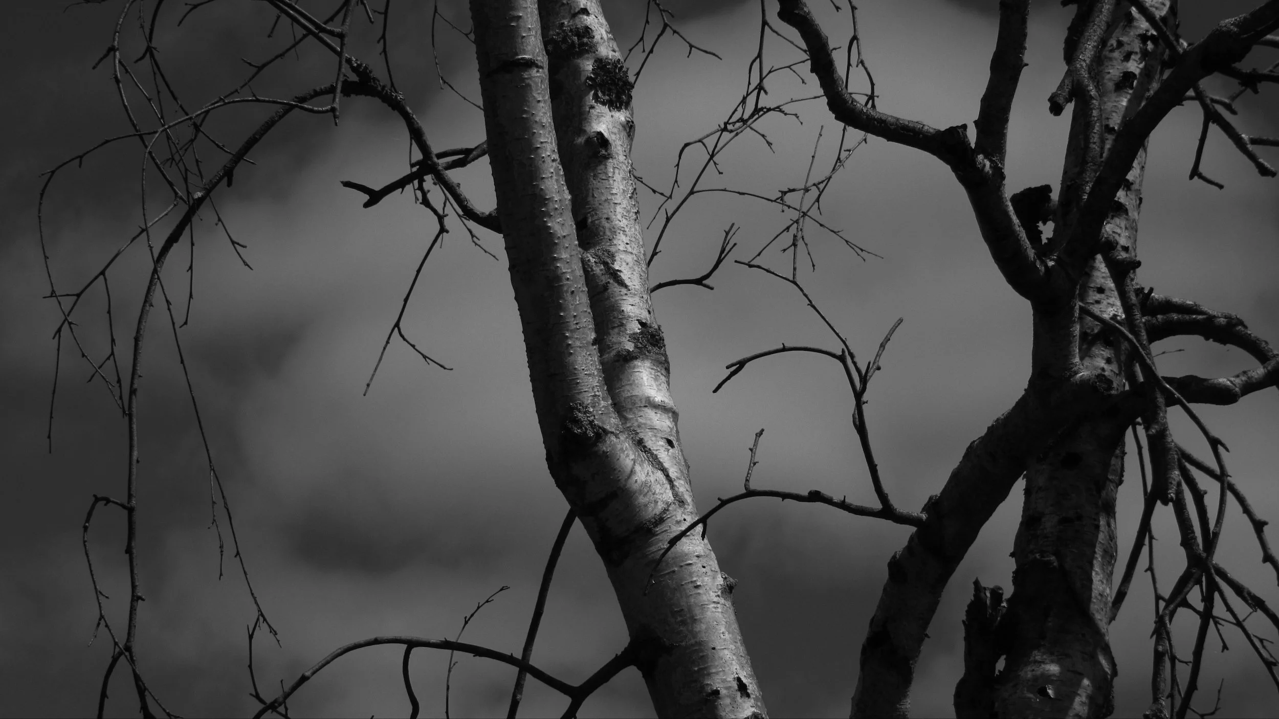 Photography by Vanessa Aiello published on ARTWIFE literary and arts magazine