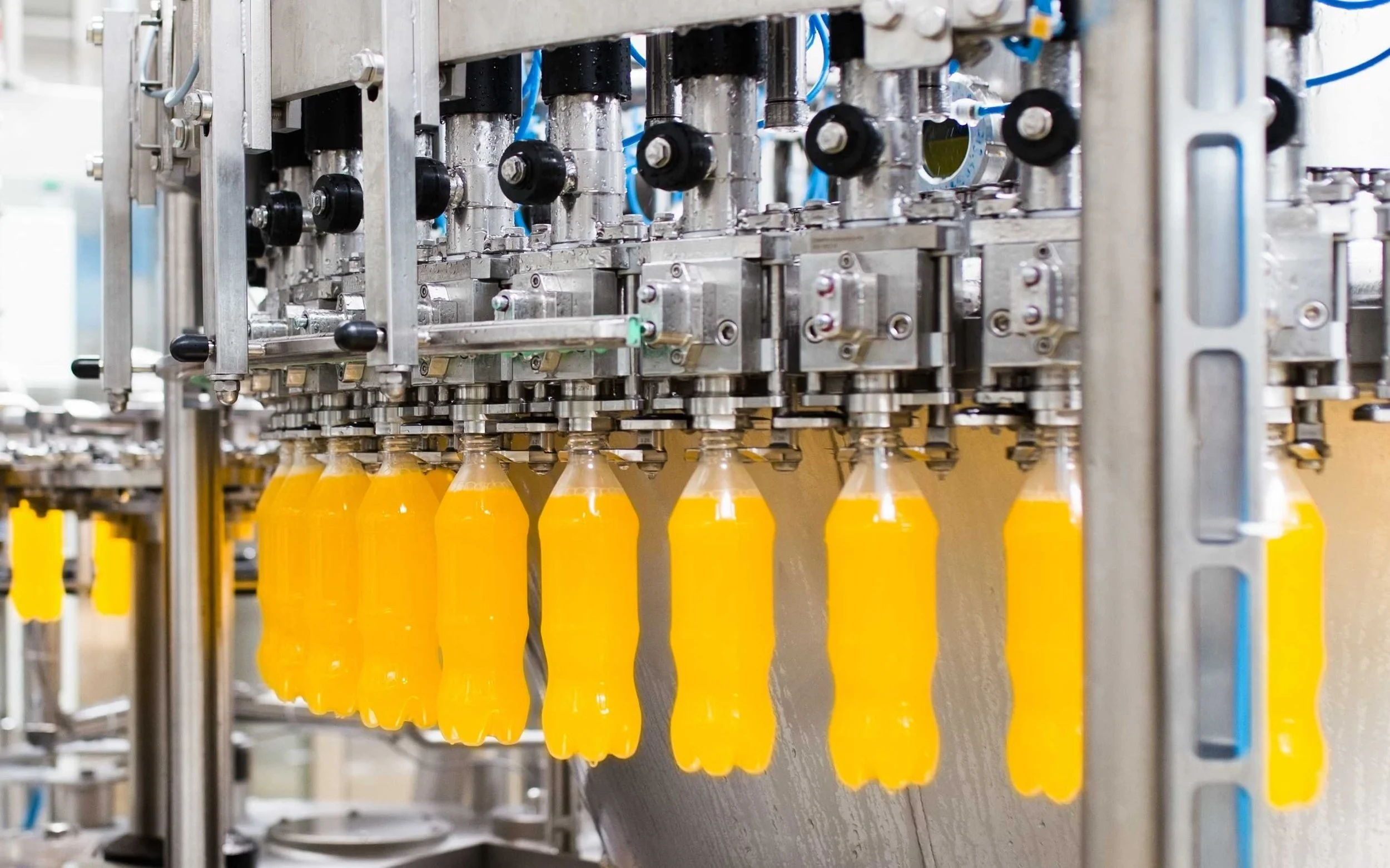 Blueprint for Expanding Food and Beverage Facilities in Ontario