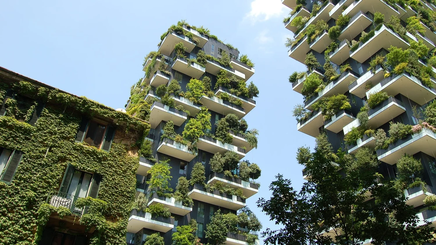 Curated visual reference: Visual Reference: A Guide To Sustainable Technology In Commercial Construction