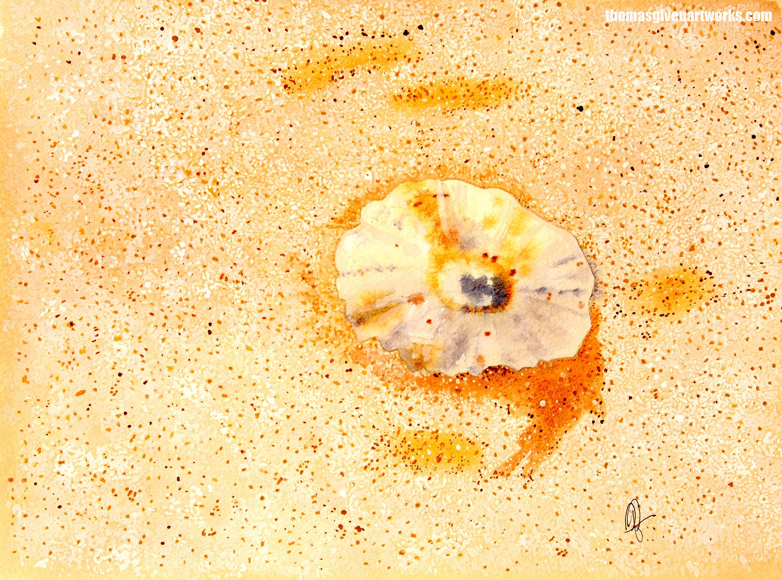 Sea+Shell1+2019+72wm.jpg