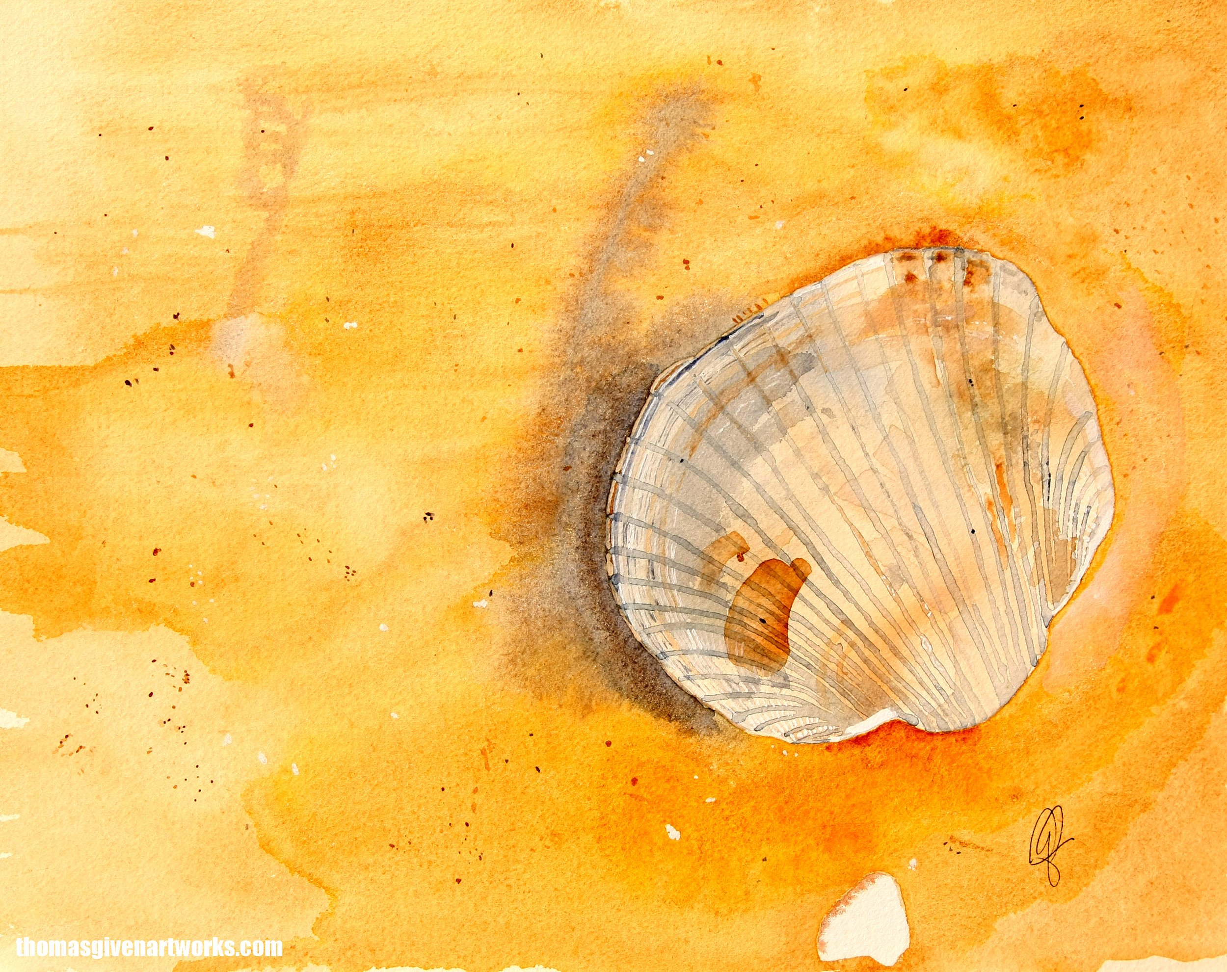 Sea+Shell2+2019+72WM.jpg