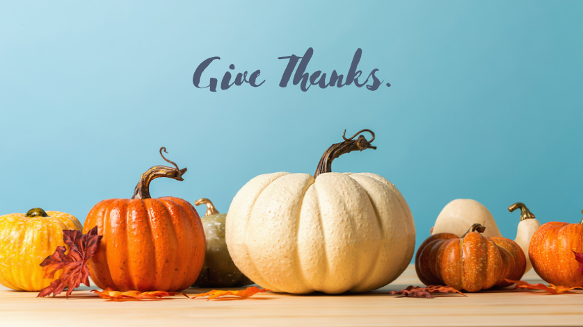 Closed. Happy Thanksgiving friends! 