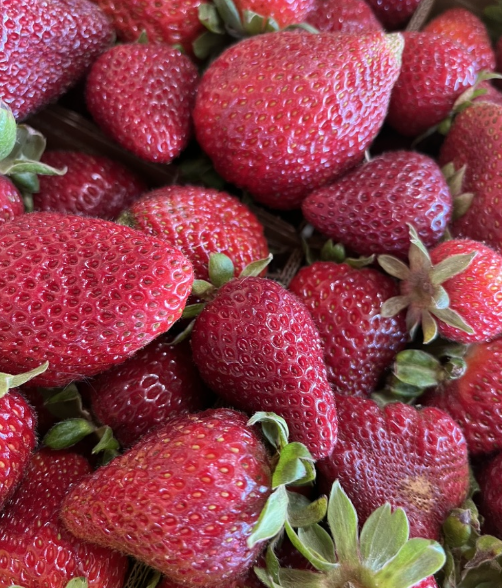 strawberry4.png