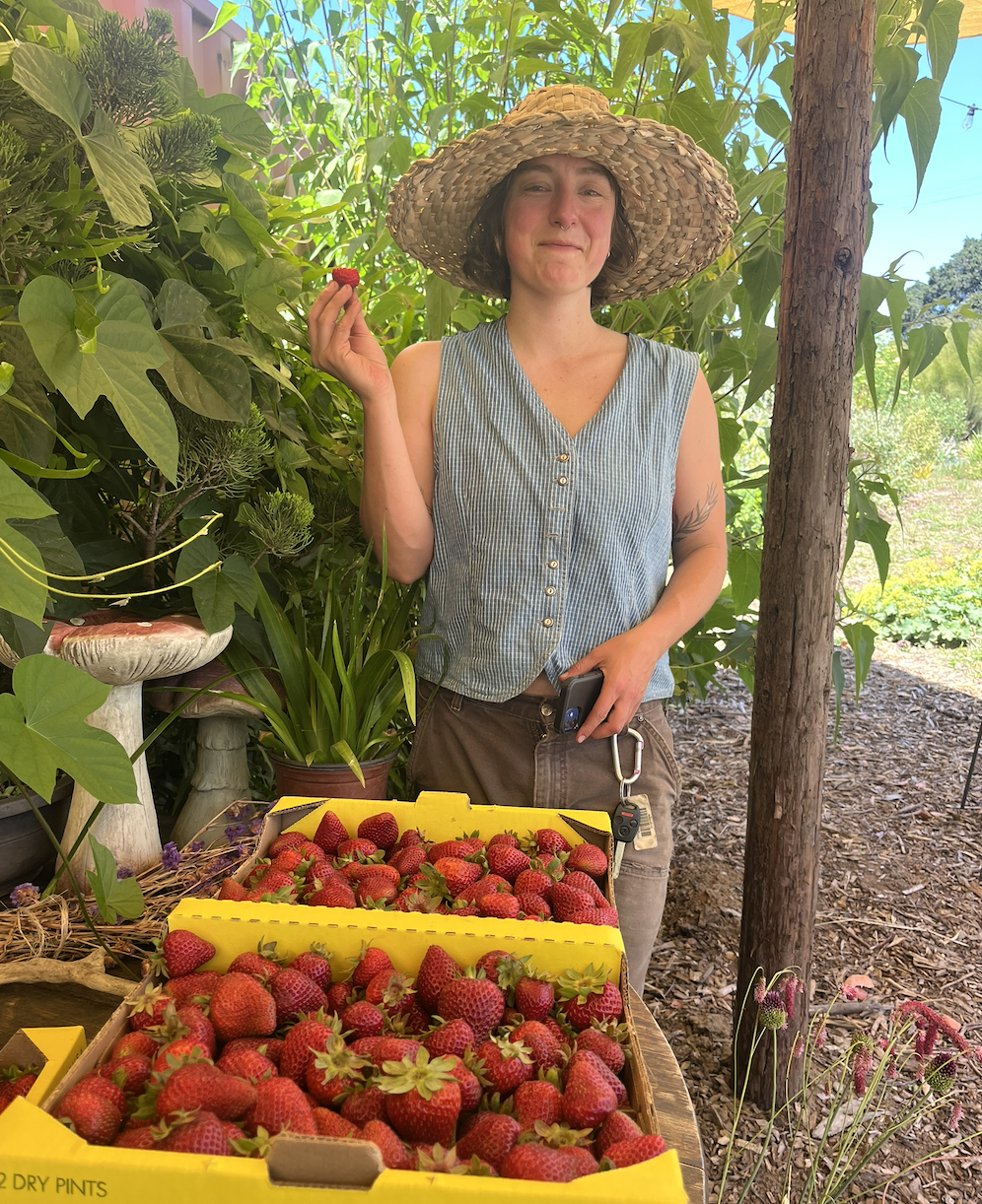 Sunday, May 31st, 2026, 10:00 AM to 3:00 PM | Strawberry festival + Produce Market Launch