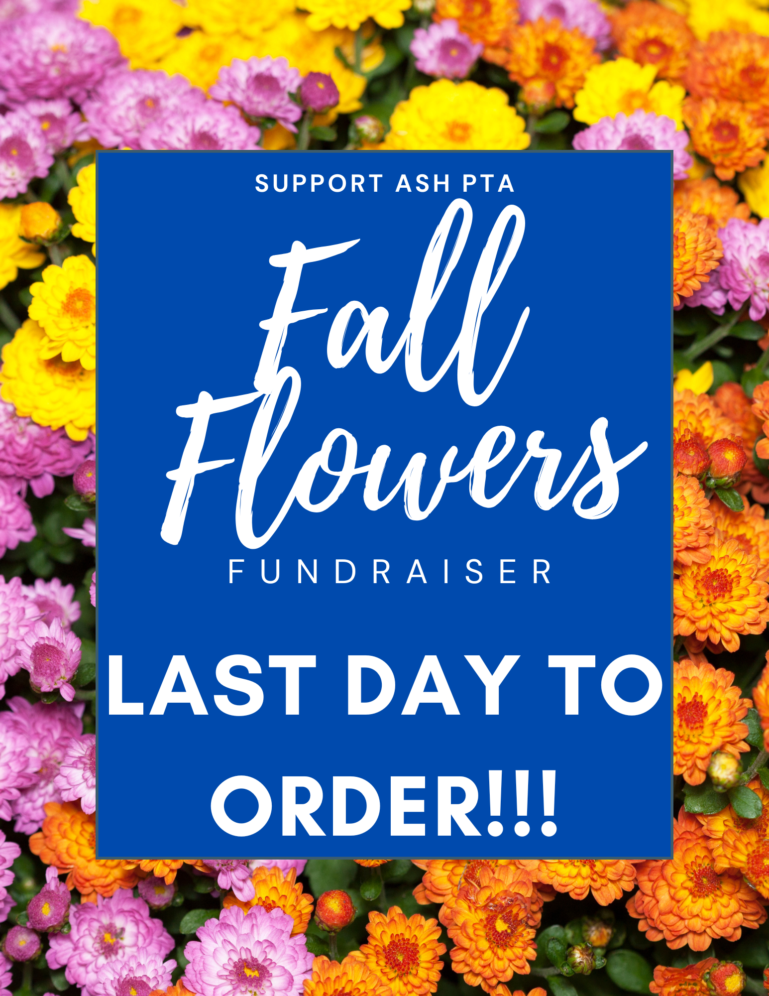 Fall Flowers Fundraiser LAST DAY TO ORDER!