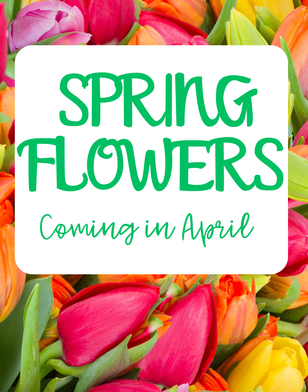 Spring Flower Sale Fundraiser Deadline