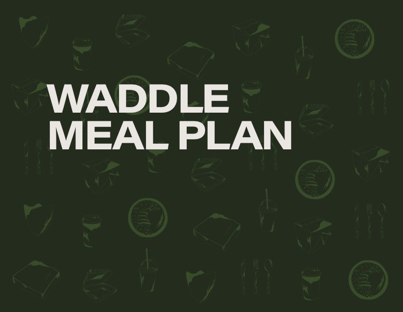Waddle Brand Book Final.jpg