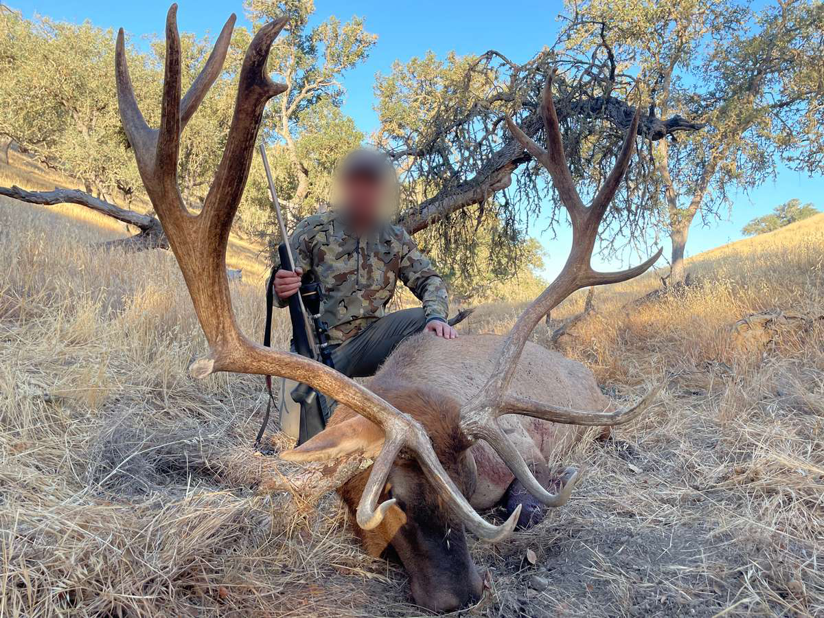 hidden elk hunter.png