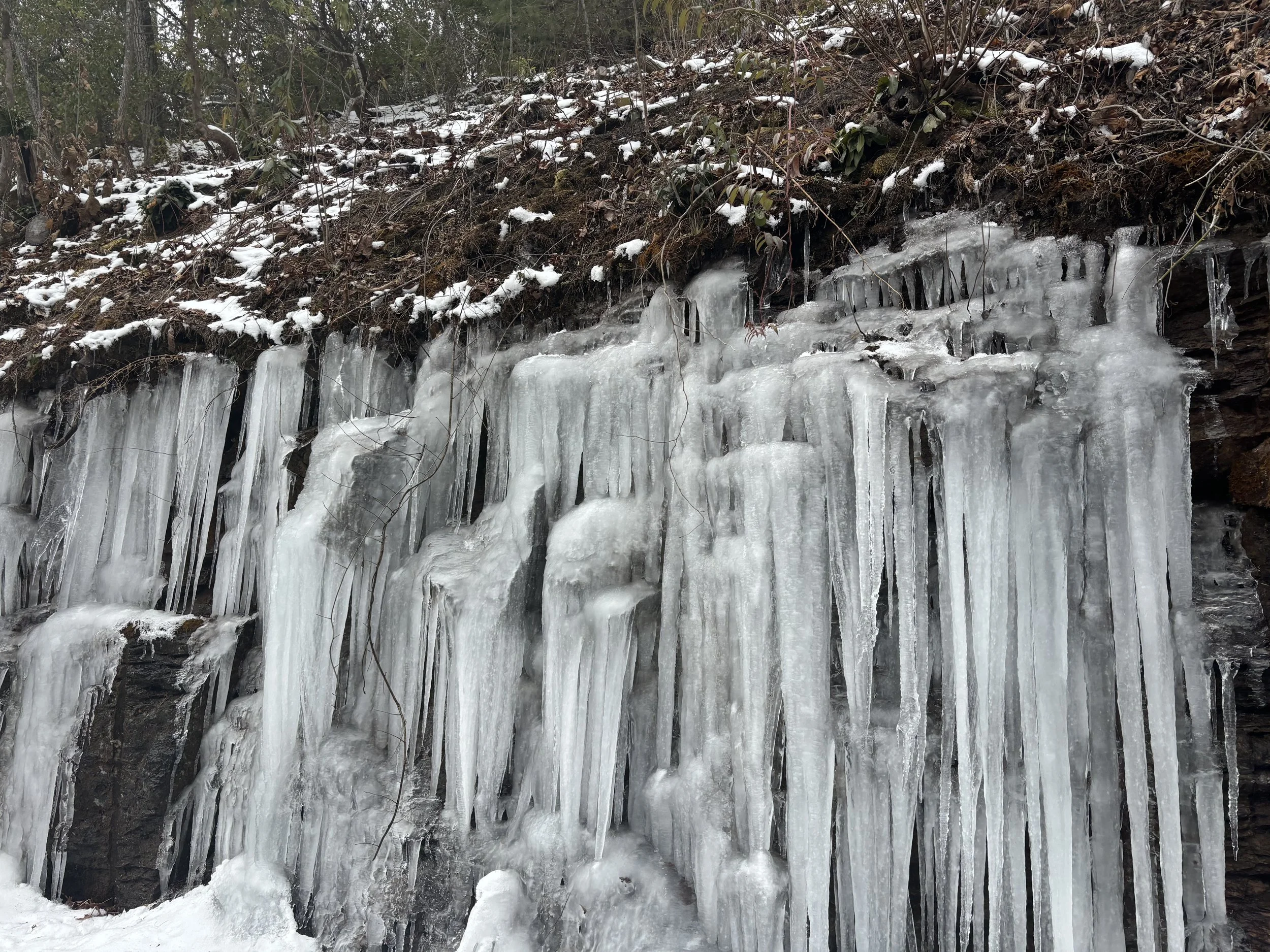 snowy days and embroidery praise