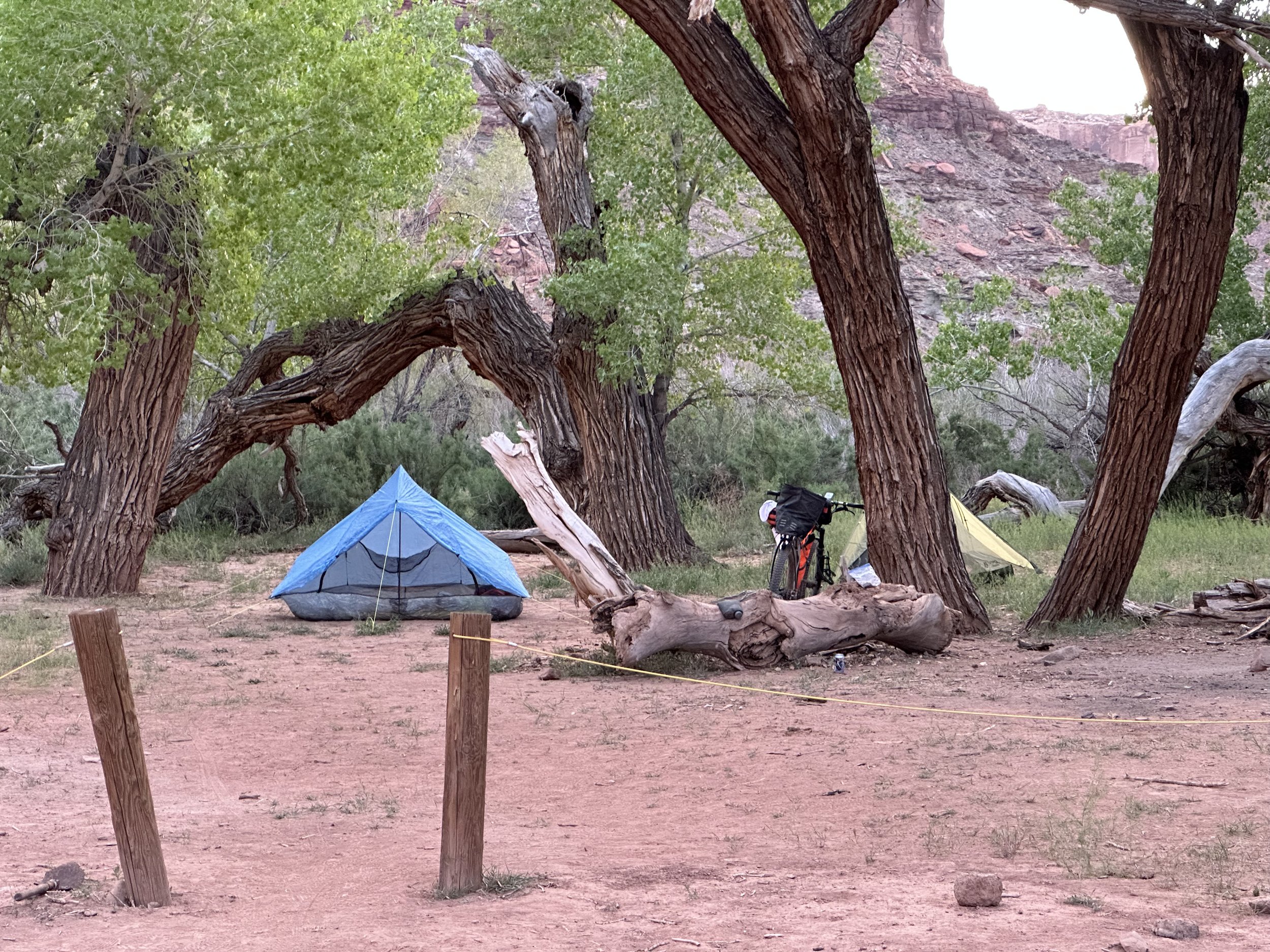   Cottonwood camp at the base of Spring Canyon.  