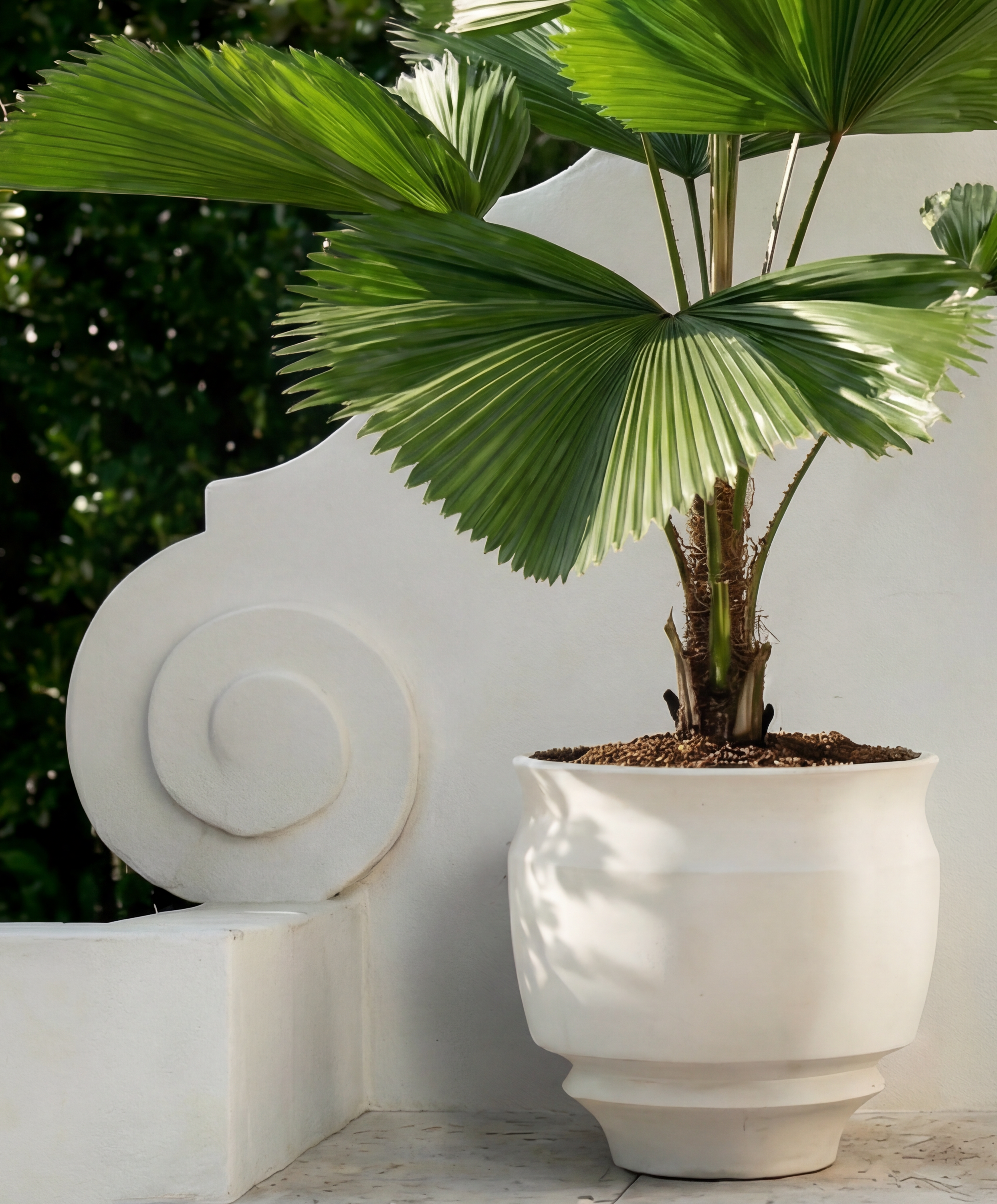 Artifact02 4K copy.png