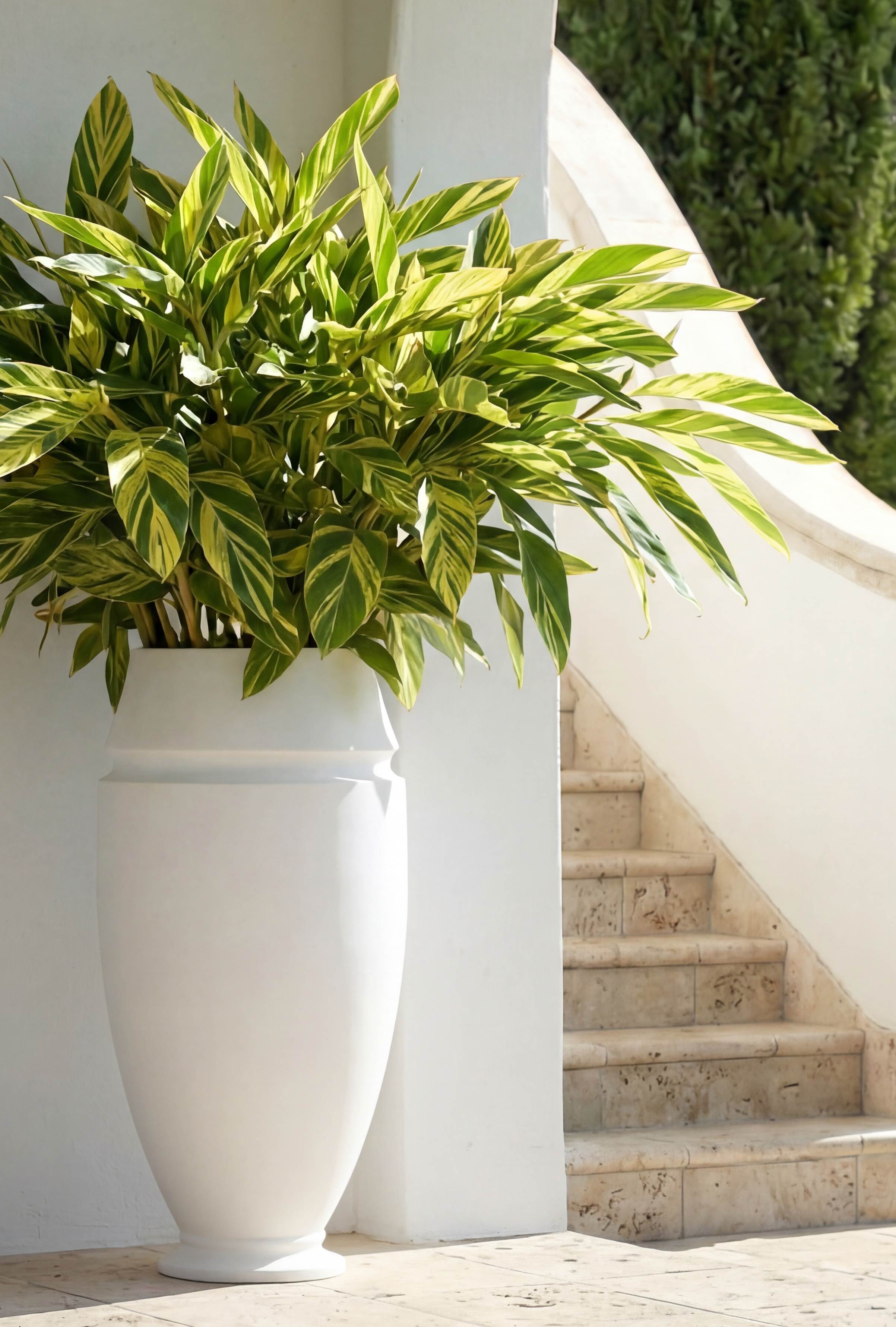 Artifact06 InSitu 4K copy.png