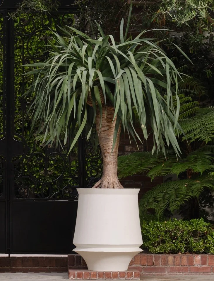 Artifact 03 Crop.jpg